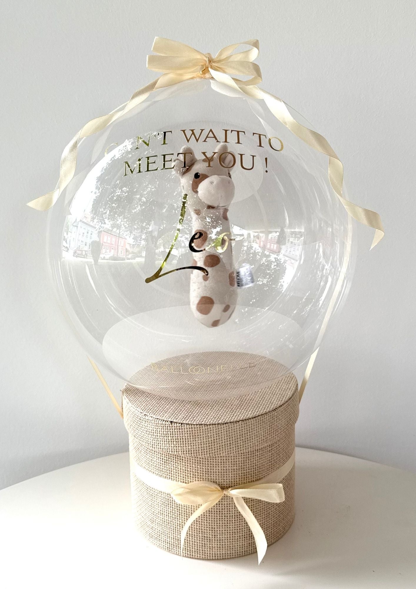 Baby Geschenkset Leo_Giraffe