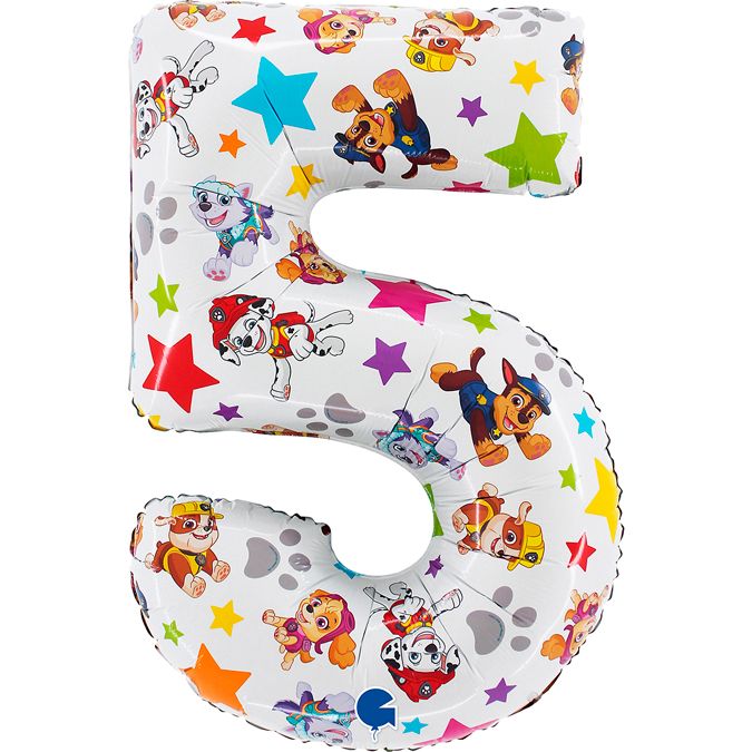 number-5-pawpatrol