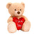 Teddybär Herz I Love You Plüschtier